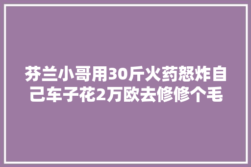 芬兰小哥用30斤火药怒炸自己车子花2万欧去修修个毛