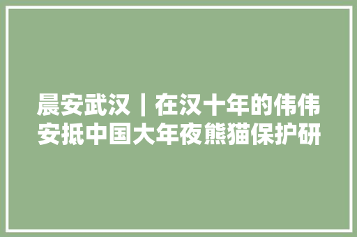 晨安武汉｜在汉十年的伟伟安抵中国大年夜熊猫保护研究中央