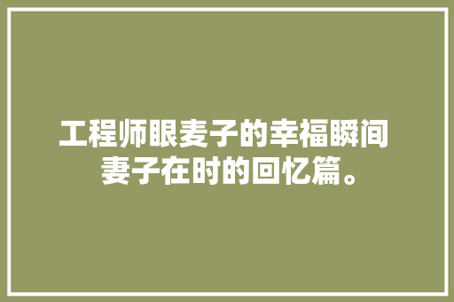 工程师眼麦子的幸福瞬间 妻子在时的回忆篇。