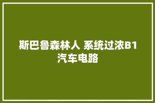 斯巴鲁森林人 系统过浓B1汽车电路