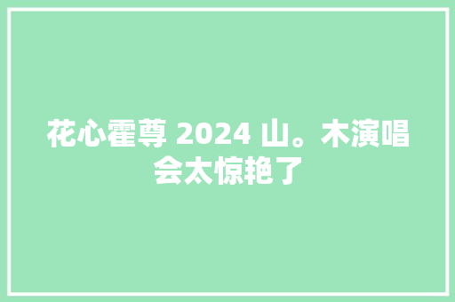花心霍尊 2024 山。木演唱会太惊艳了
