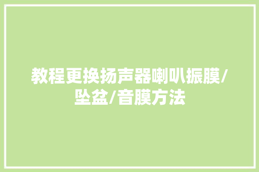 教程更换扬声器喇叭振膜/坠盆/音膜方法 汽车知识