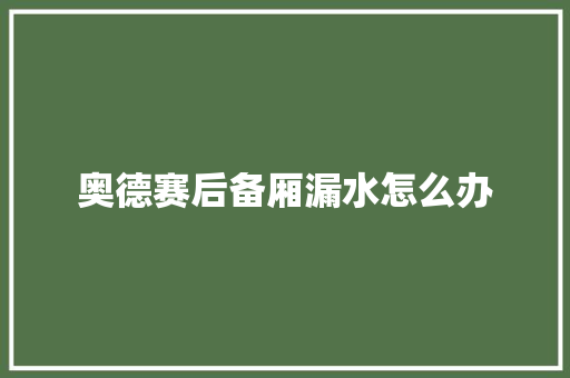 奥德赛后备厢漏水怎么办