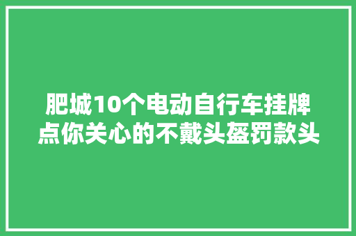 肥城10个电动自行车挂牌点你关心的不戴头盔罚款头盔涨价等问题有谜底了