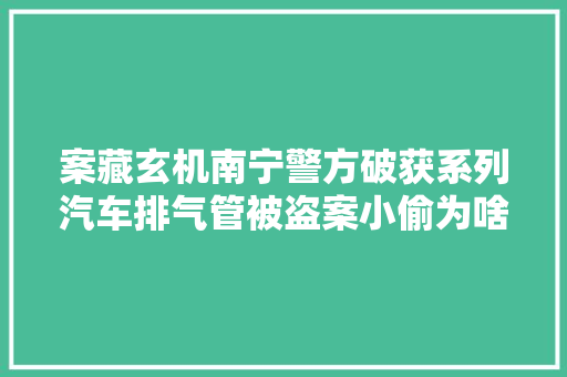 案藏玄机南宁警方破获系列汽车排气管被盗案小偷为啥偷它