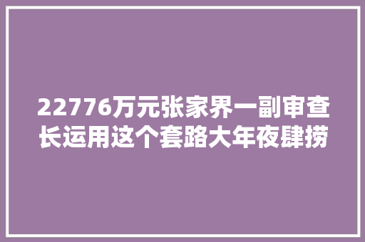 22776万元张家界一副审查长运用这个套路大年夜肆捞钱