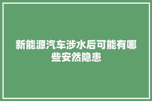 新能源汽车涉水后可能有哪些安然隐患
