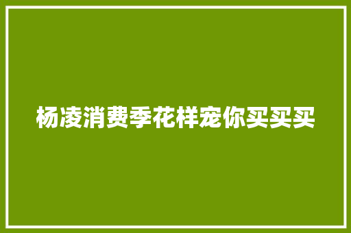 杨凌消费季花样宠你买买买