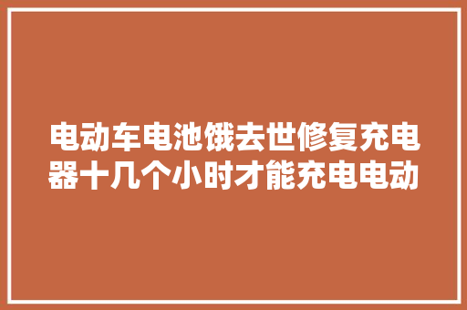 电动车电池饿去世修复充电器十几个小时才能充电电动车维修