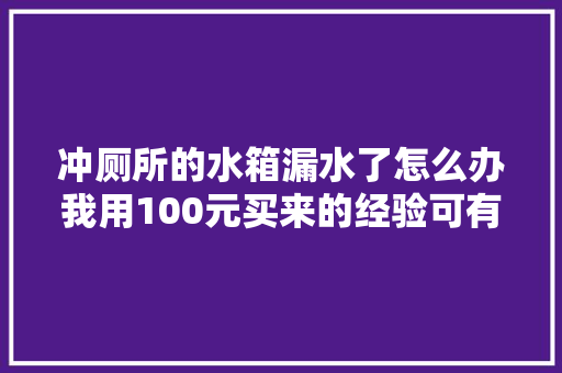 冲厕所的水箱漏水了怎么办我用100元买来的经验可有用了