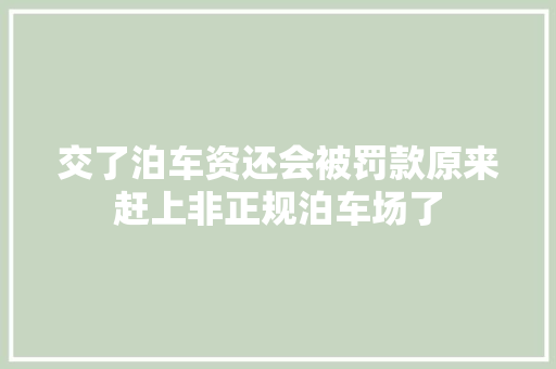 交了泊车资还会被罚款原来赶上非正规泊车场了