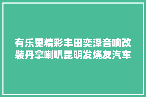 有乐更精彩丰田奕泽音响改装丹拿喇叭昆明发烧友汽车音响
