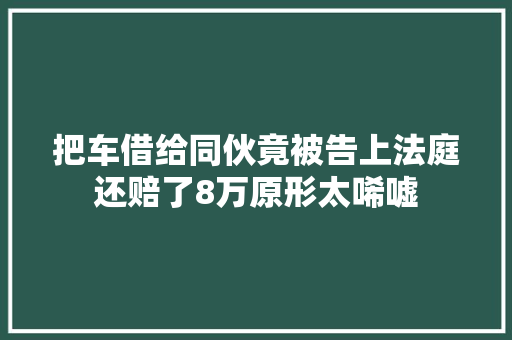 把车借给同伙竟被告上法庭还赔了8万原形太唏嘘