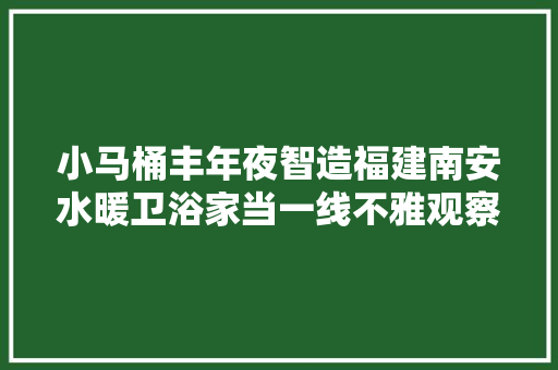 小马桶丰年夜智造福建南安水暖卫浴家当一线不雅观察