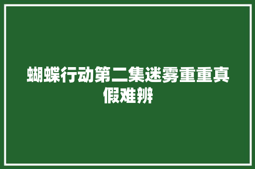蝴蝶行动第二集迷雾重重真假难辨 休闲娱乐