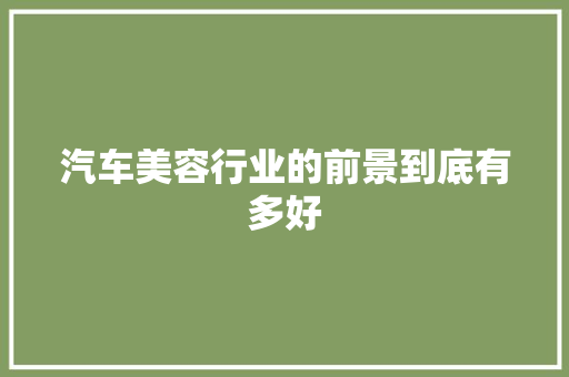 汽车美容行业的前景到底有多好