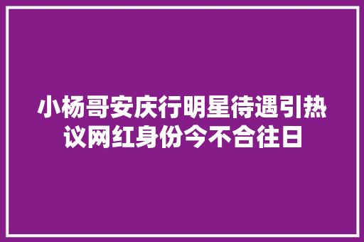 小杨哥安庆行明星待遇引热议网红身份今不合往日