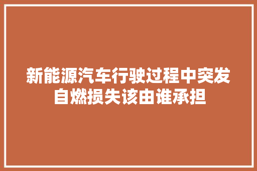 新能源汽车行驶过程中突发自燃损失该由谁承担