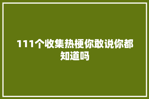 111个收集热梗你敢说你都知道吗