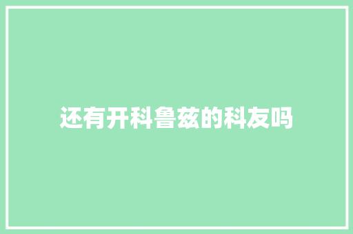 还有开科鲁兹的科友吗