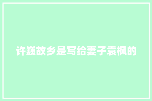 许巍故乡是写给妻子袁枫的