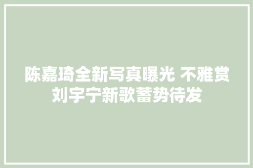 陈嘉琦全新写真曝光 不雅赏刘宇宁新歌蓄势待发