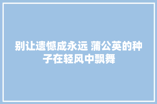 别让遗憾成永远 蒲公英的种子在轻风中飘舞