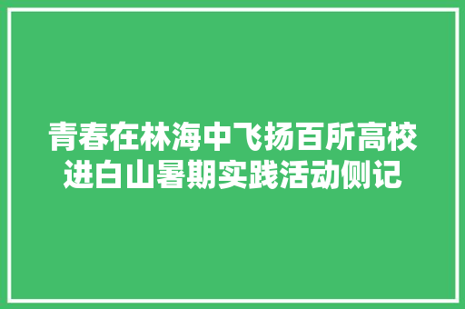 青春在林海中飞扬百所高校进白山暑期实践活动侧记