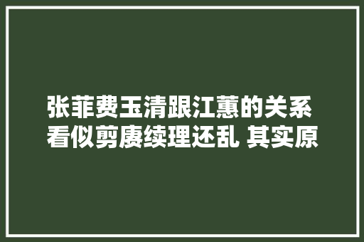 张菲费玉清跟江蕙的关系 看似剪赓续理还乱 其实原形应该是这样的
