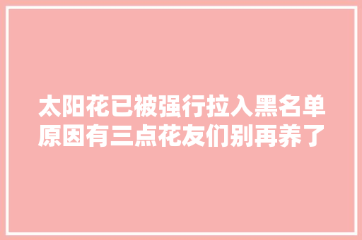 太阳花已被强行拉入黑名单原因有三点花友们别再养了