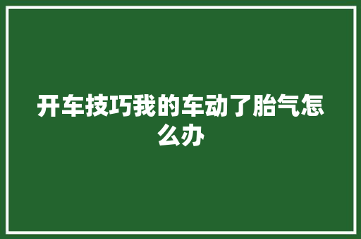 开车技巧我的车动了胎气怎么办