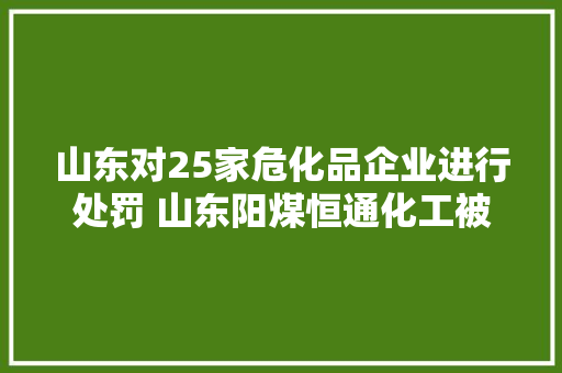 山东对25家危化品企业进行处罚 山东阳煤恒通化工被罚80多万元