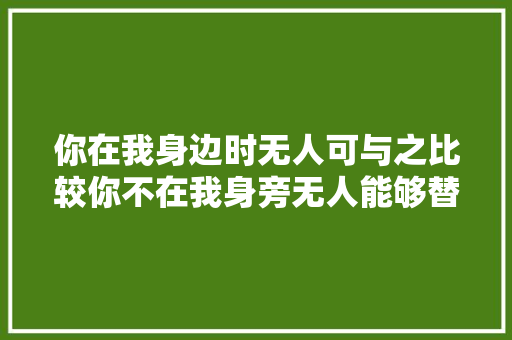 你在我身边时无人可与之比较你不在我身旁无人能够替代你