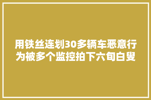 用铁丝连划30多辆车恶意行为被多个监控拍下六旬白叟缘何这么大年夜火气