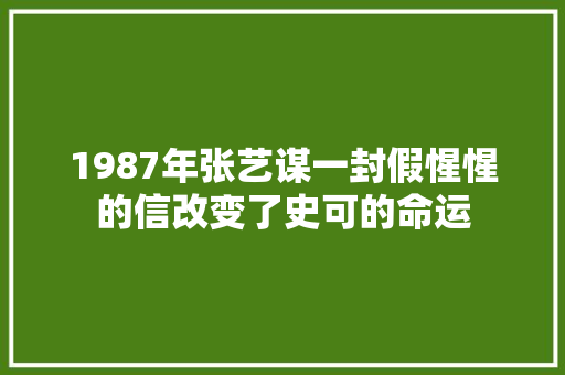 1987年张艺谋一封假惺惺的信改变了史可的命运