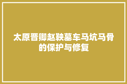 太原晋卿赵鞅墓车马坑马骨的保护与修复