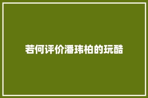 若何评价潘玮柏的玩酷