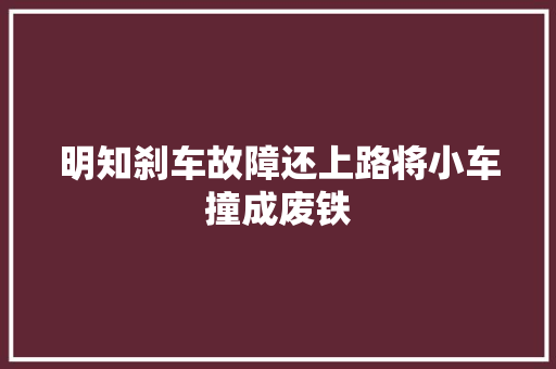 明知刹车故障还上路将小车撞成废铁