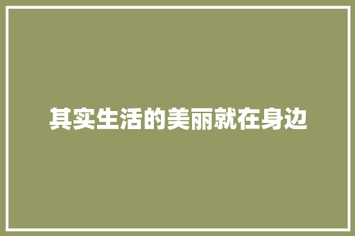 其实生活的美丽就在身边