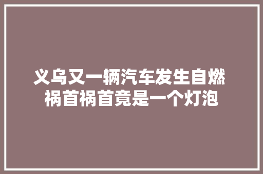 义乌又一辆汽车发生自燃 祸首祸首竟是一个灯泡