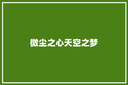 微尘之心天空之梦