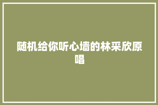 随机给你听心墙的林采欣原唱