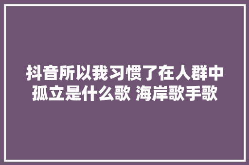 抖音所以我习惯了在人群中孤立是什么歌 海岸歌手歌词全文