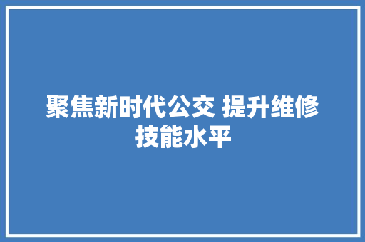 聚焦新时代公交 提升维修技能水平