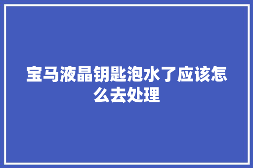 宝马液晶钥匙泡水了应该怎么去处理