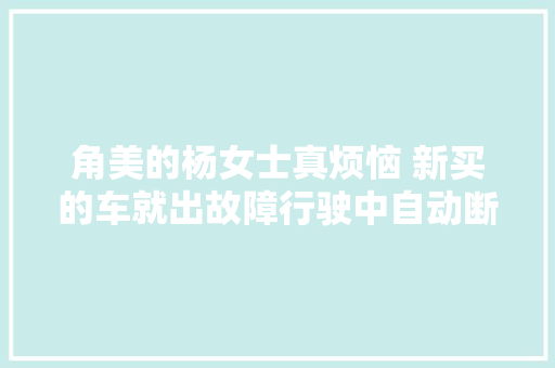 角美的杨女士真烦恼 新买的车就出故障行驶中自动断电6公里的路程走了三四个小时