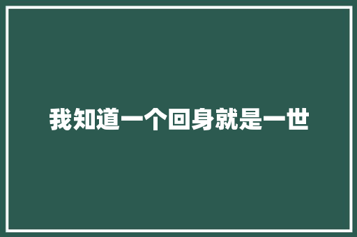 我知道一个回身就是一世