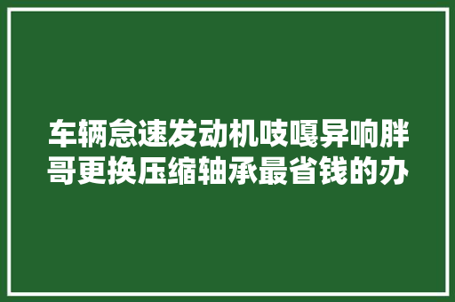 车辆怠速发动机吱嘎异响胖哥更换压缩轴承最省钱的办法