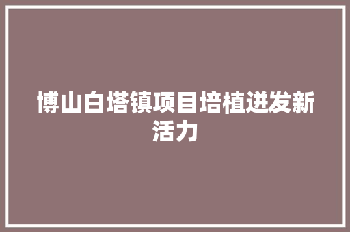 博山白塔镇项目培植迸发新活力