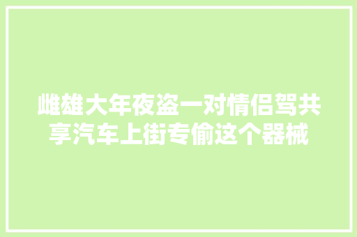 雌雄大年夜盗一对情侣驾共享汽车上街专偷这个器械